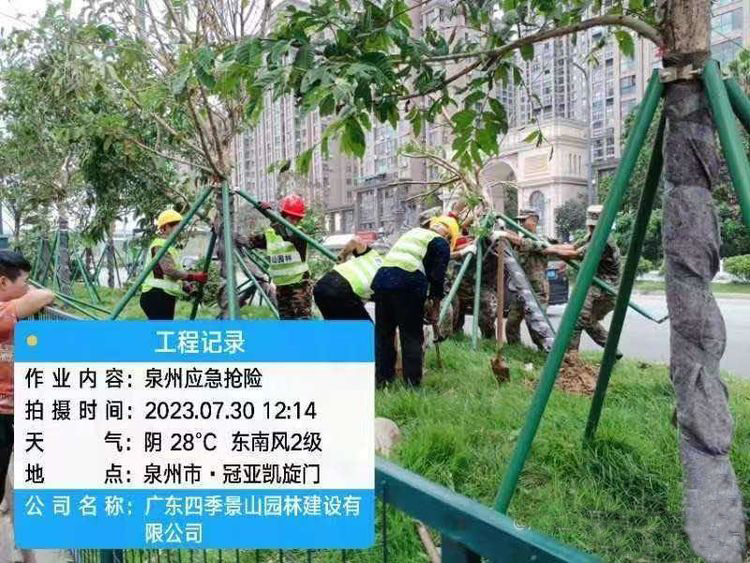 严阵以待 闻风而动 ——公司福建团队抗击超级台风“杜苏芮”纪实