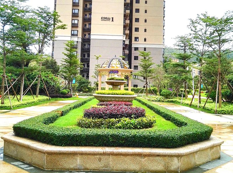 IMG_20190527_122153_看图王.jpg