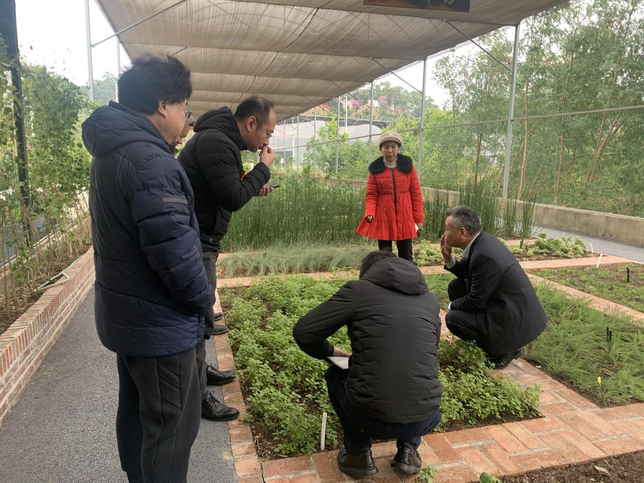 越秀地产公司领导参观我司园林芳香植物工坊