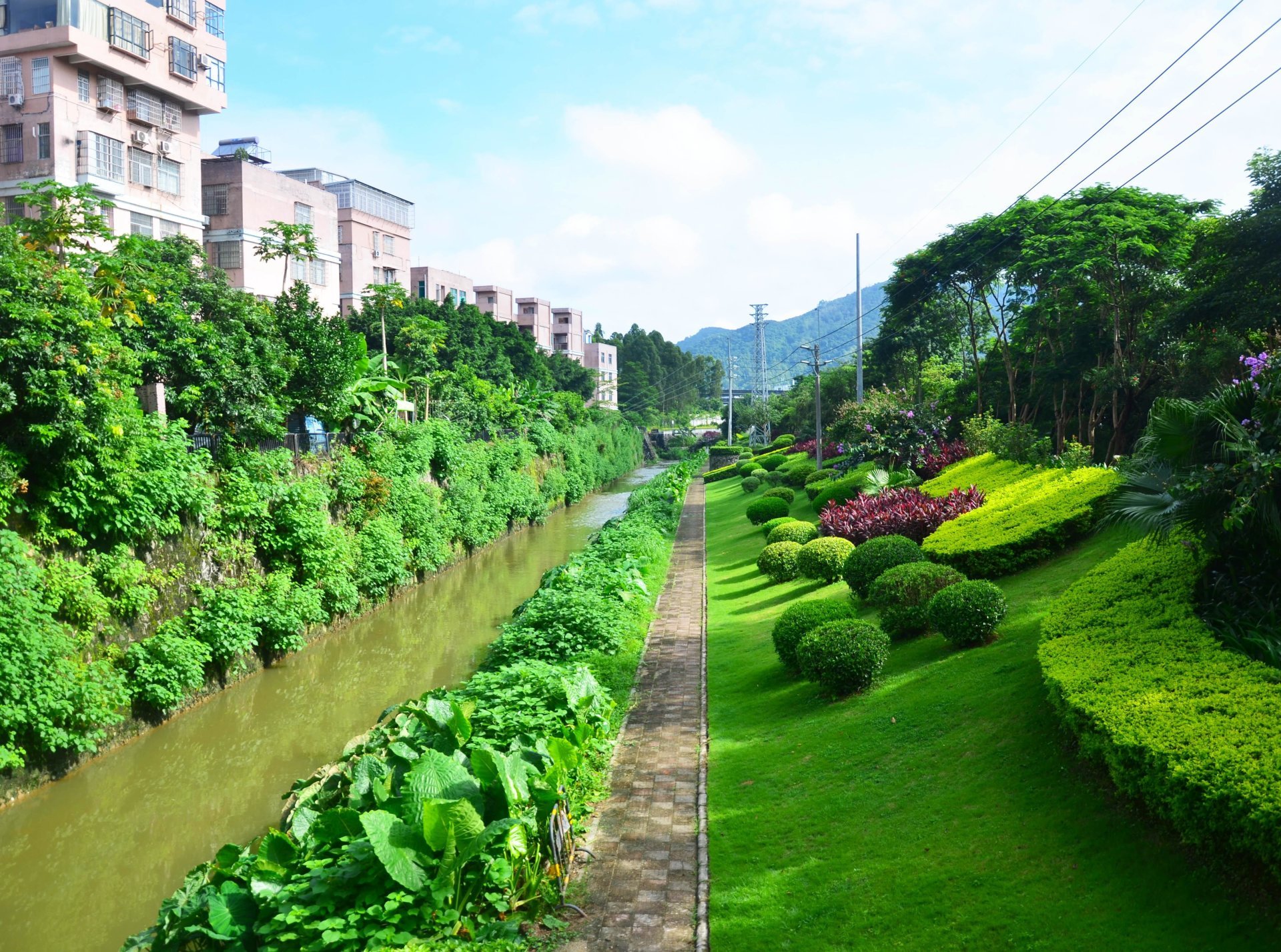 06龙洞北路-草坪.jpg