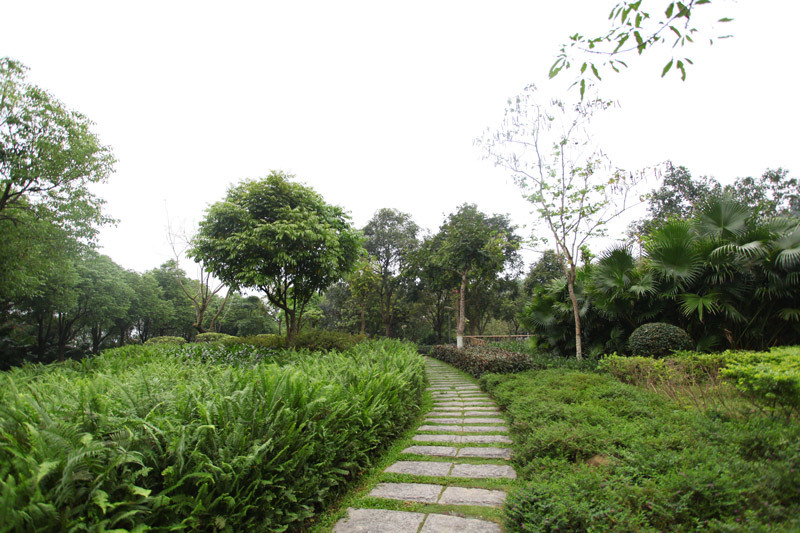 森林公园3.jpg
