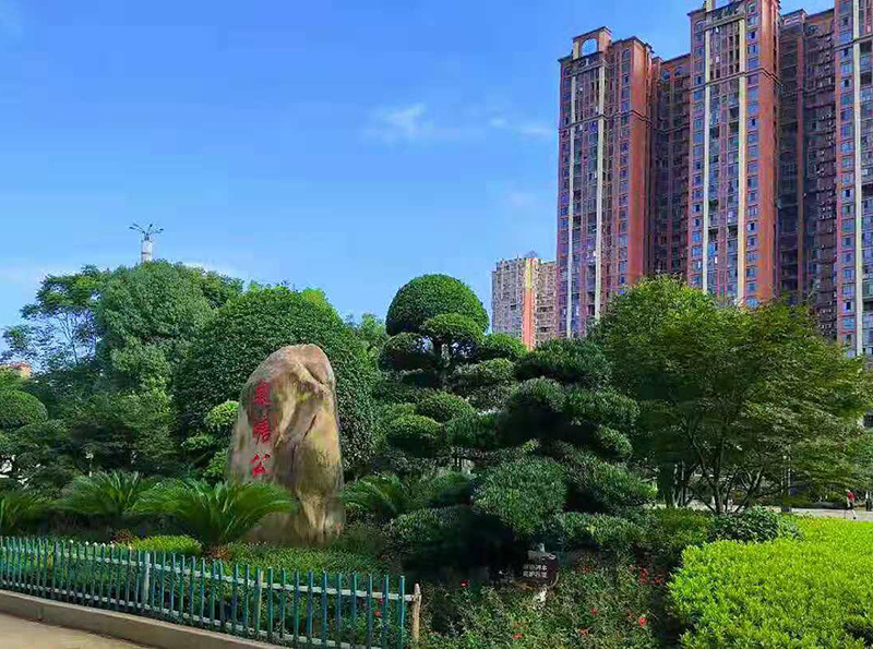 长沙县城市绿化绿化·公园绿化