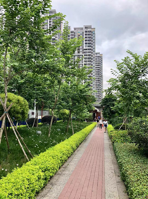 微信图片_201907261026145(3).jpg