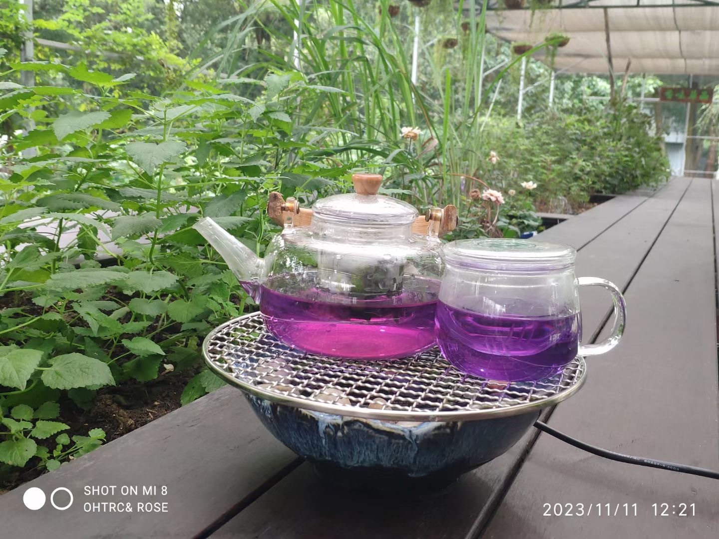 校企共建结硕果-园林芳香植物·实训工坊