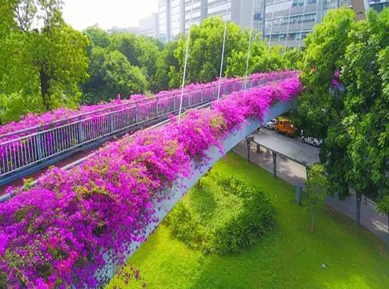 微信图片_20190807164637.jpg