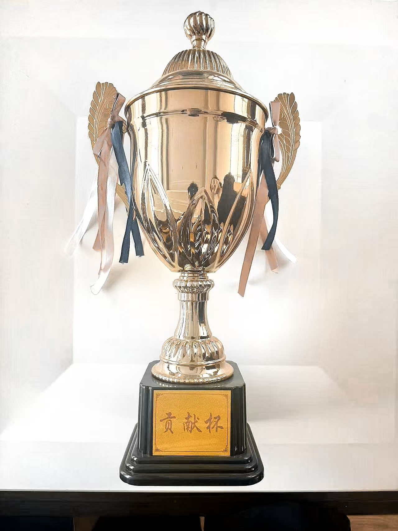 Copa de Contribución