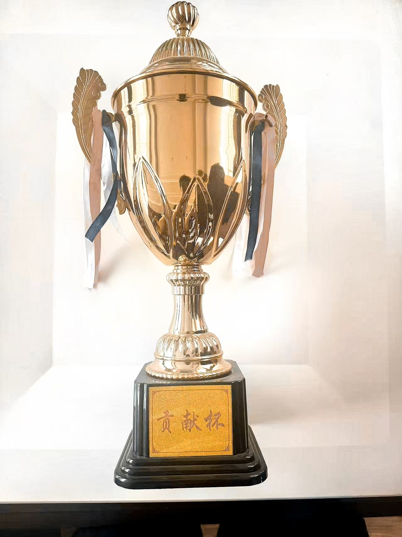 Copa de Contribución