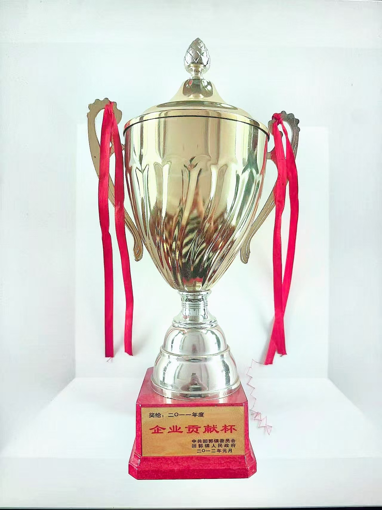Copa de Contribución