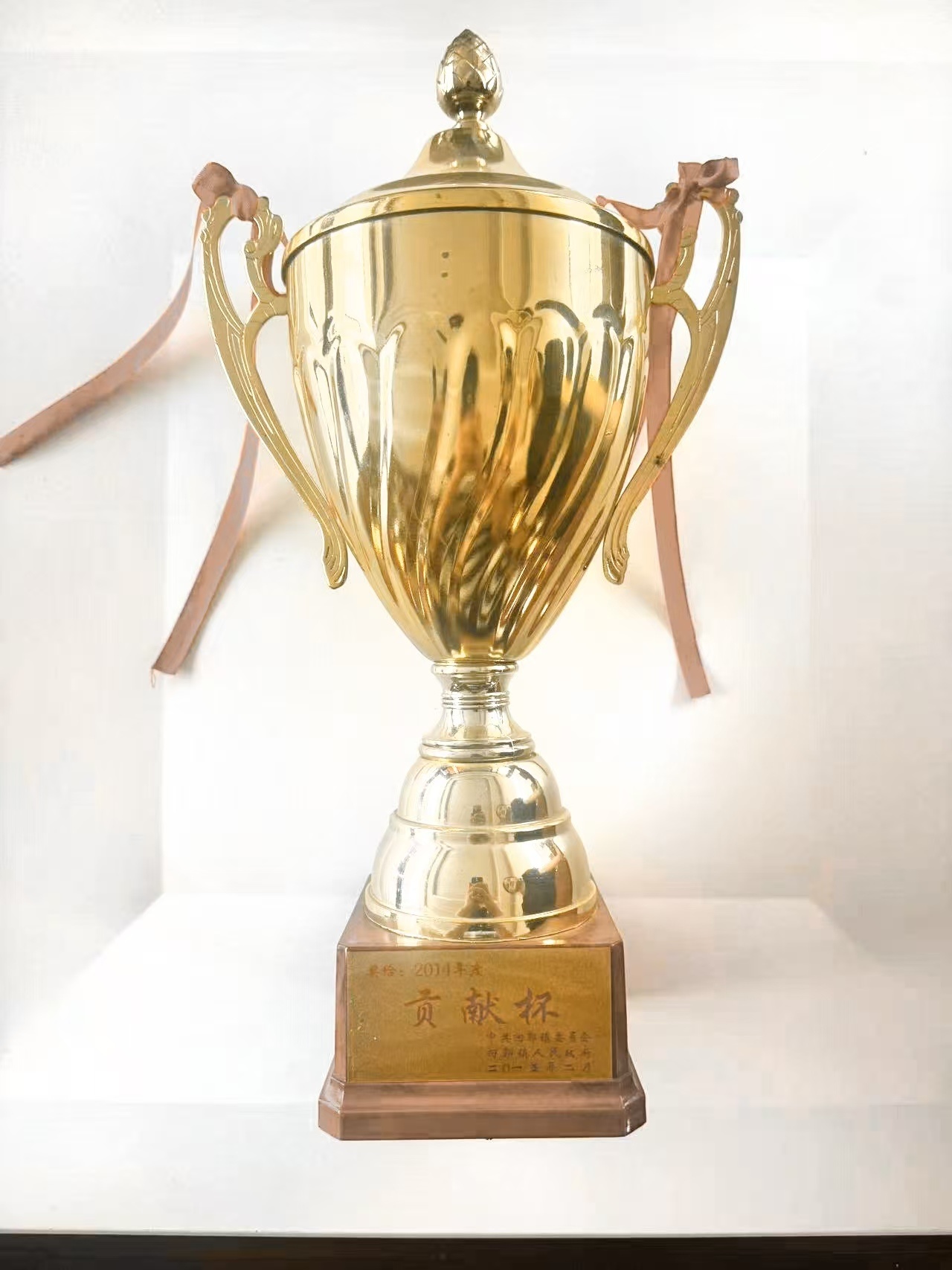 Copa de Contribución