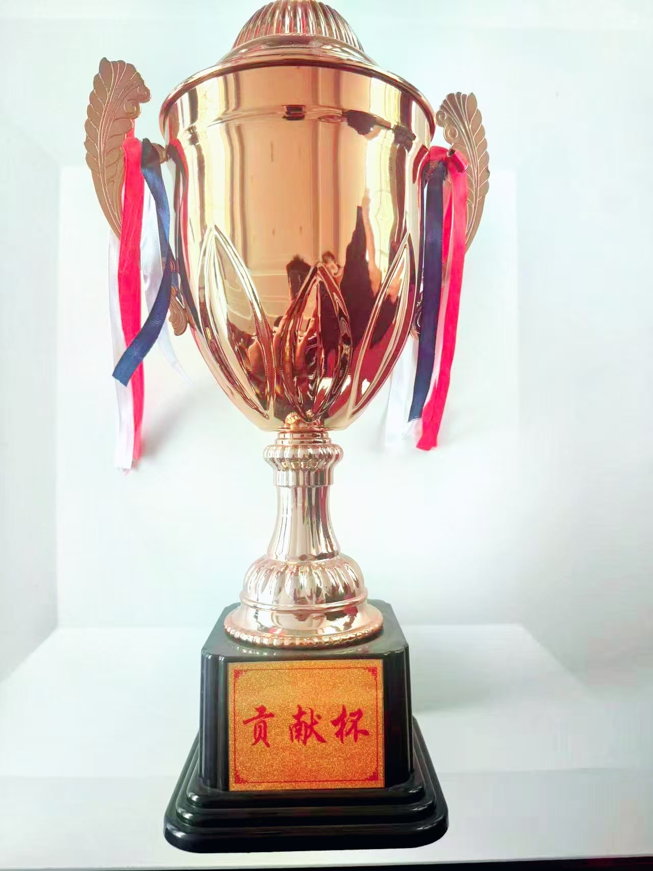 贡献杯