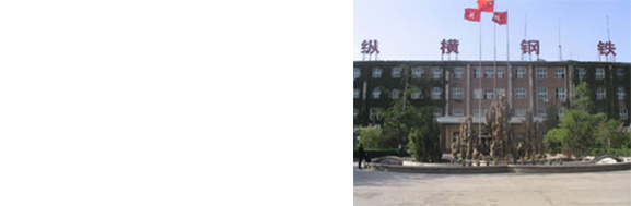 Hebei Sinogiant Steel Investment Co., Ltd Hebei Sinogiant Steel Investment Co., Ltd