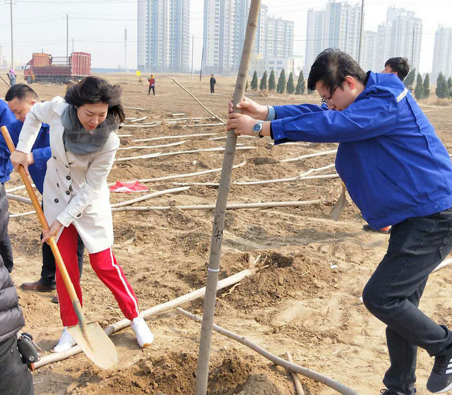 Our company went to Huanghua New City to plant trees