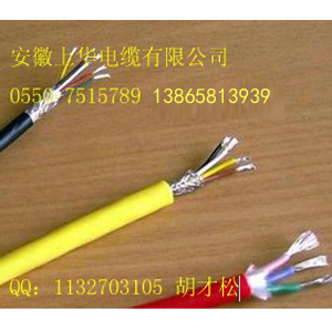 變頻器專用軟電纜：ZR-BPTVPLVPL-1KV