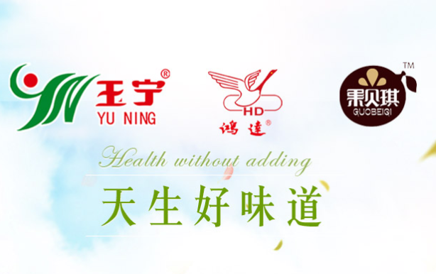 玉宁“水果条”说明书