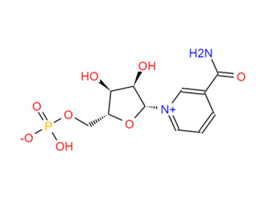β-烟酰胺单核首酸(NMN）