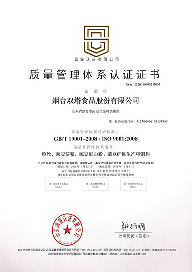 ISO9001（中文）