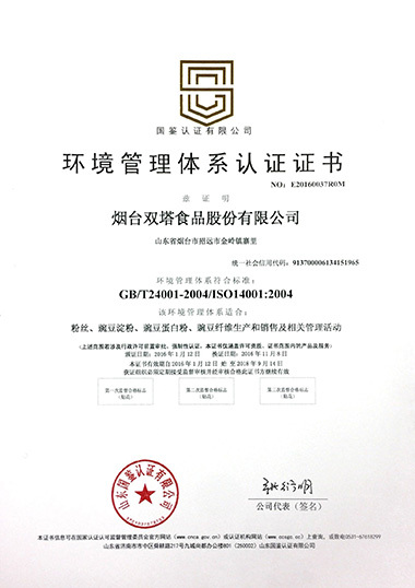 ISO14001（中文）