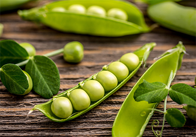 customized 80% mungbean protein