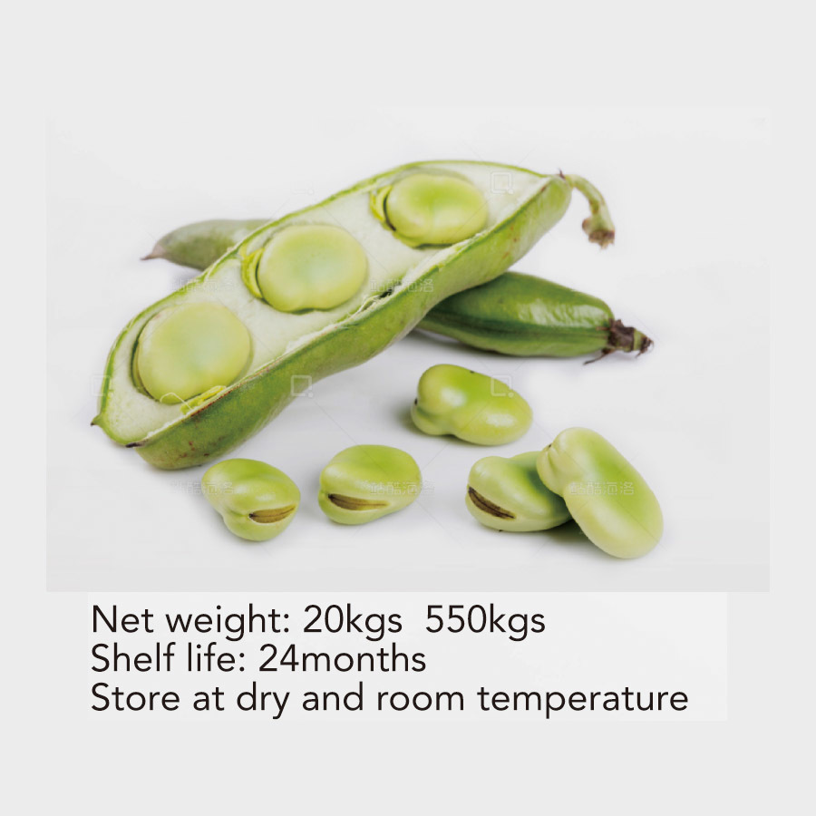 Favabean protein from China