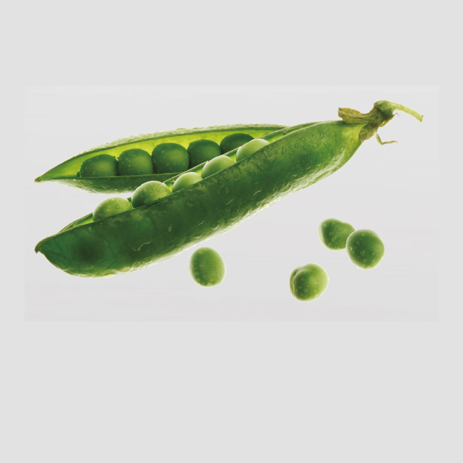 Organic mungbean protein