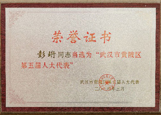 彭珩同志當選為“武漢市黃陂區第五屆人大代表” 彭珩同志當選為“武漢市黃陂區第五屆人大代表”