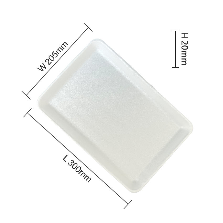 PS FOAM TRAY LT300-203