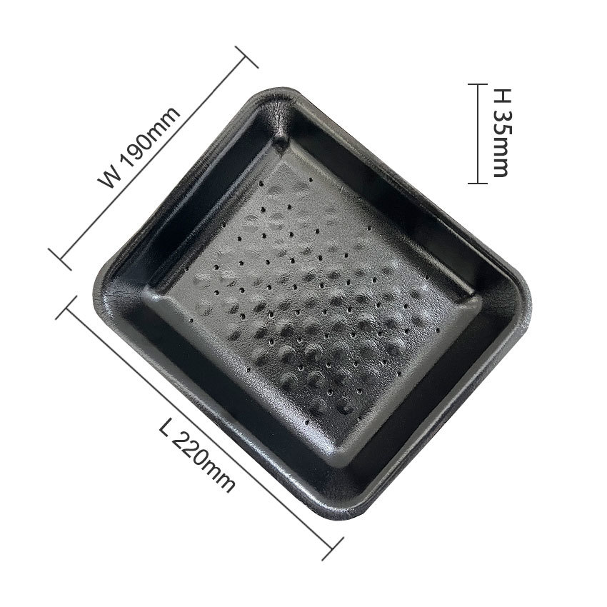 PS FOAM TRAY LT220-190-35