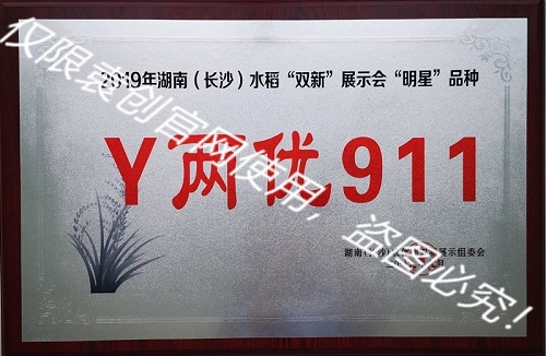2019年湖南（長沙）水稻“雙新”展示會“明星”品種（Y兩優911）