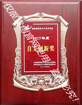 自主创新奖