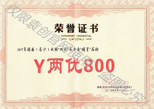 2017年湖南（長沙）水稻“雙新”展示會“明星”品種（Y兩優800）
