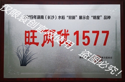 2019年湖南（長沙）水稻“雙新”展示會“明星”品種（旺兩優1577）