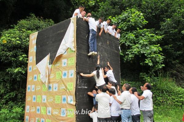 甘当基石，强忍疼痛的伙伴—2014年