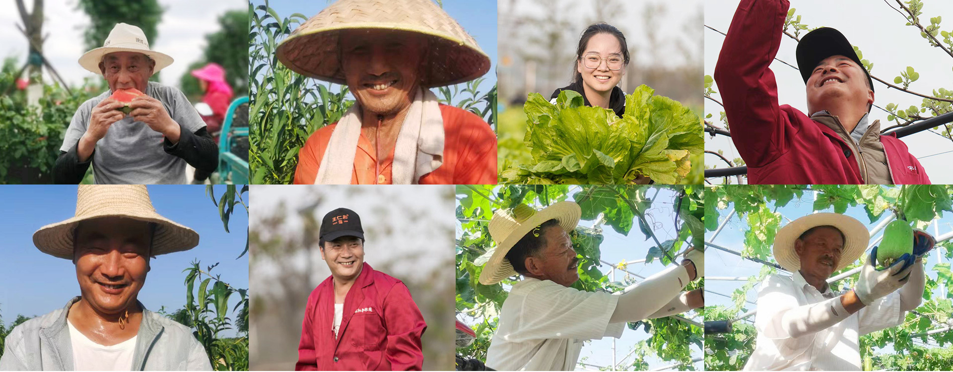 The farmer's smile.