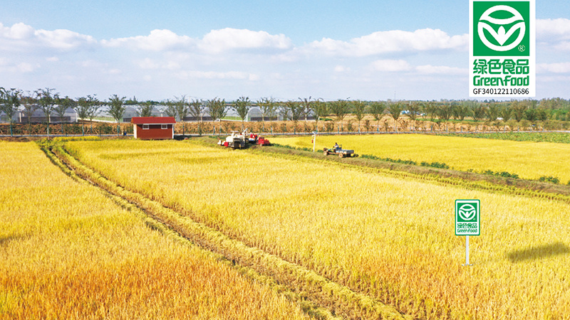 Fengxiang Lake Agriculture