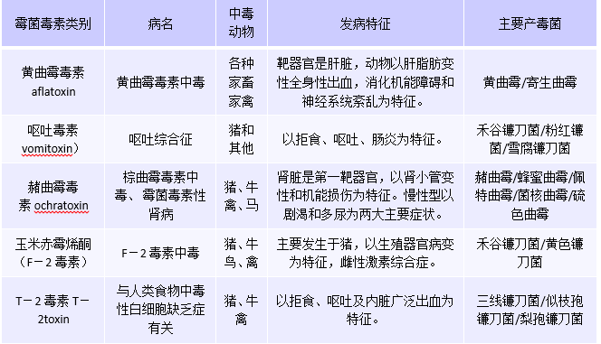 霉變玉米就是養(yǎng)殖殺手