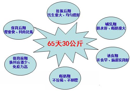 《和美華科技》2015年 第一期第一版