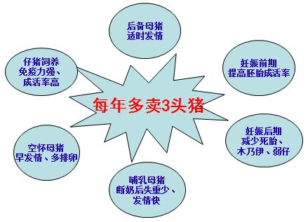 《和美華科技》2015年 第一期第一版