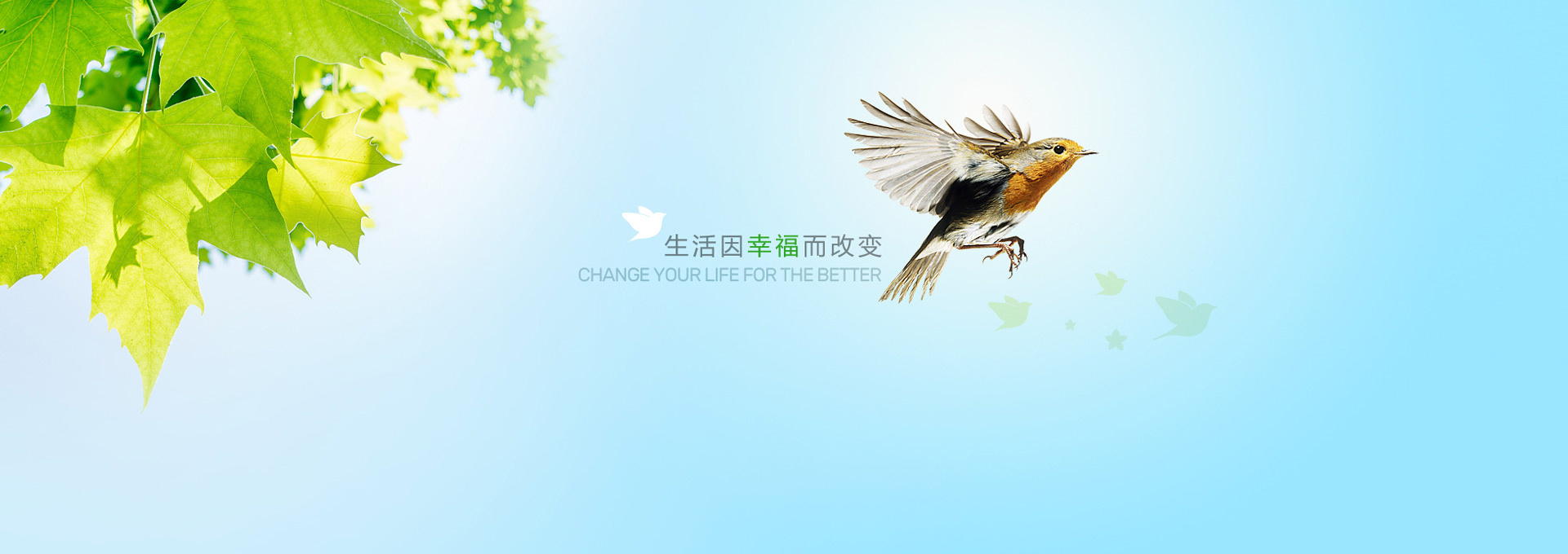 至善嘉和(北京)物業管理有限公司
