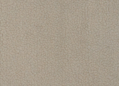 FS013-38