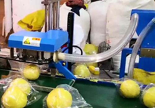 半自动封口切膜机C款.mp4