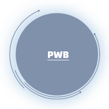 提供全球技術(shù)領(lǐng)先的PWB光子鍵合技術(shù)服務(wù)