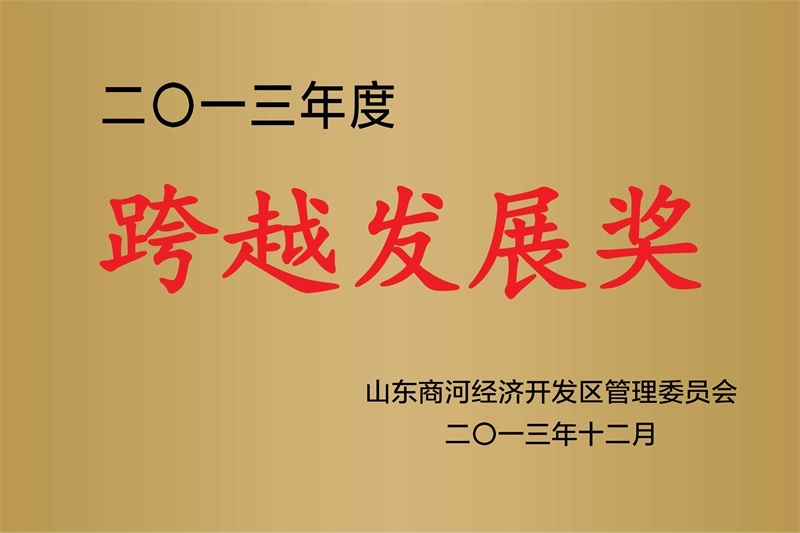 荣誉资质