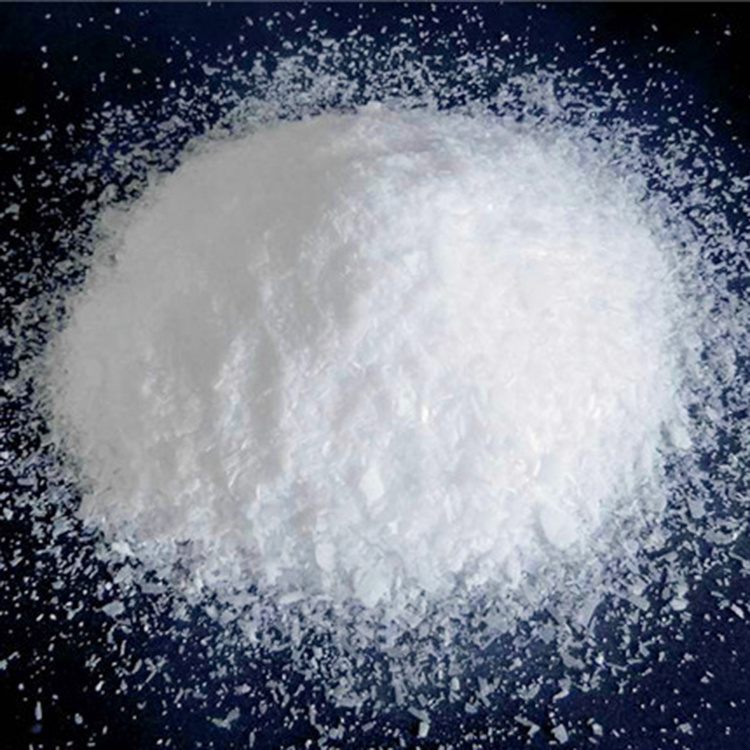 改性聚有機(jī)羧酸銨