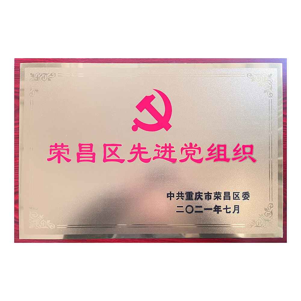 荣昌区先进党组织 荣昌区先进党组织