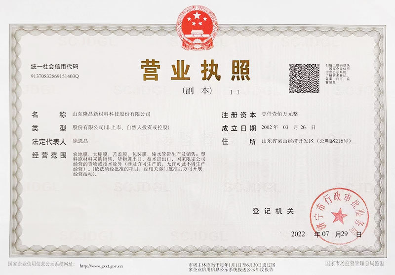 Business License