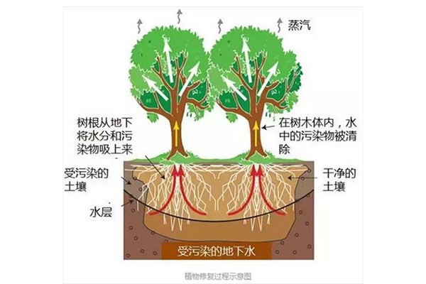 云南坤龍實業有限公司 云南坤龍實業有限公司