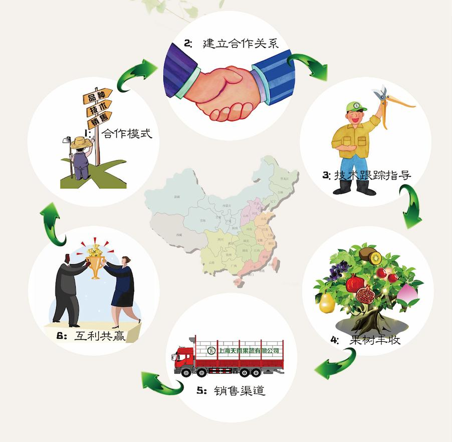 云南坤龍實業有限公司