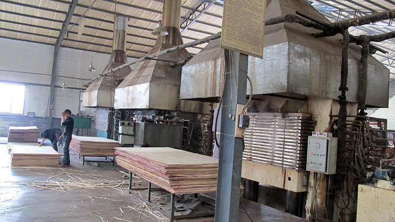 Workshop
