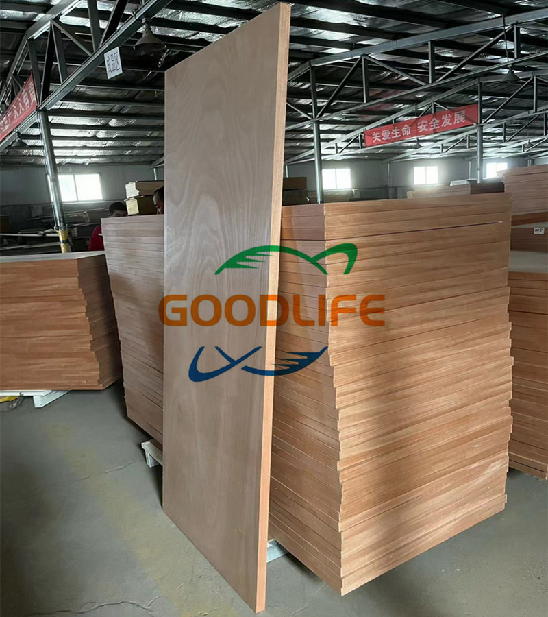 Door and door skins