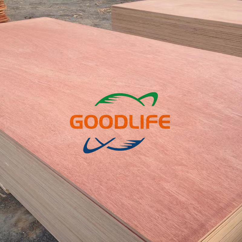 Bintangor faced plywood for construction